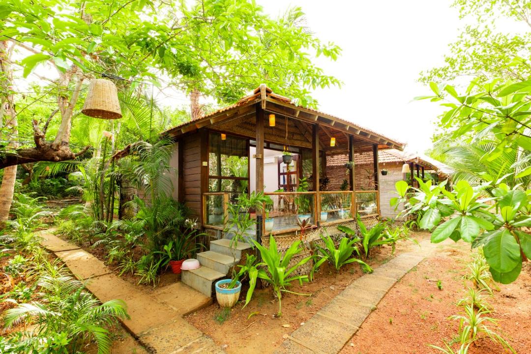 Photo of Others in Agonda