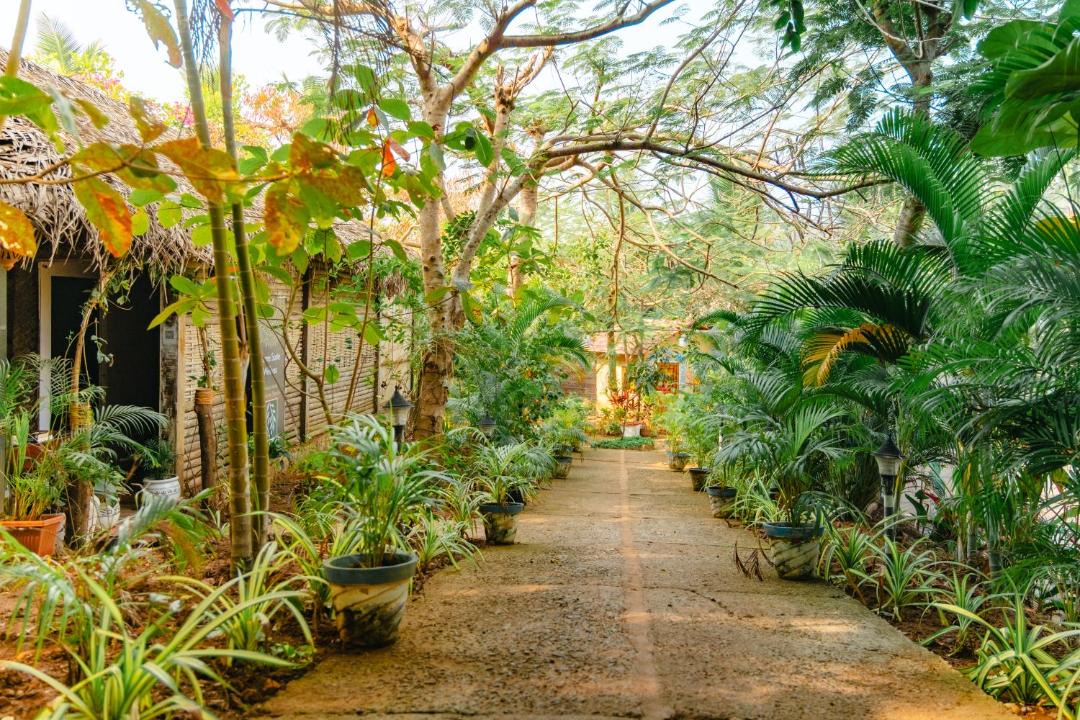 Photo of Others in Agonda