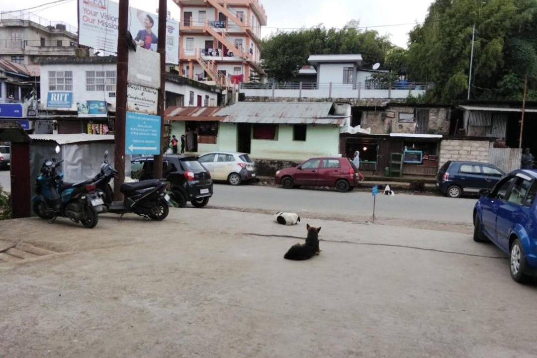 Photo of Others in Shillong