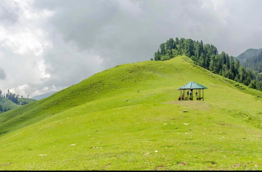 Photo of Others in Bhaderwah