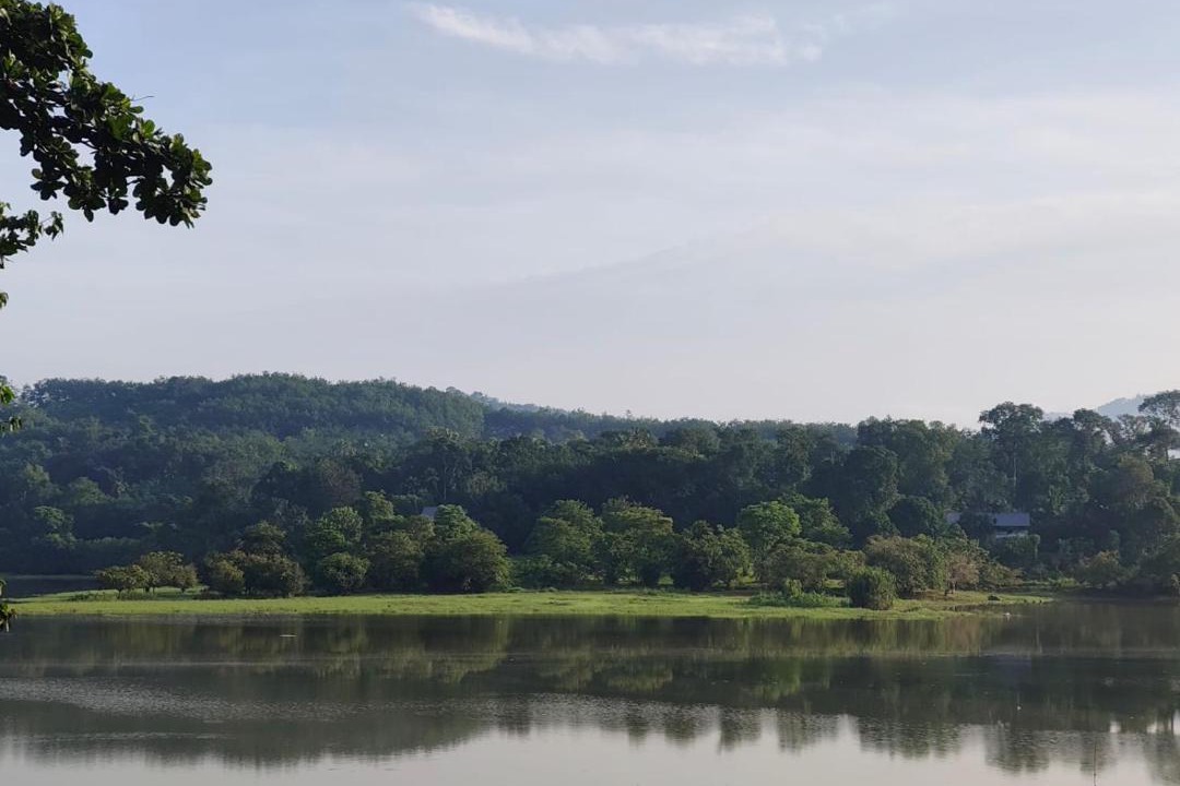 Photo of Others in Todupulai