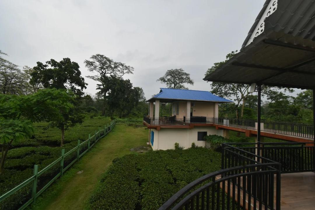 Photo of Others in Alipurduar