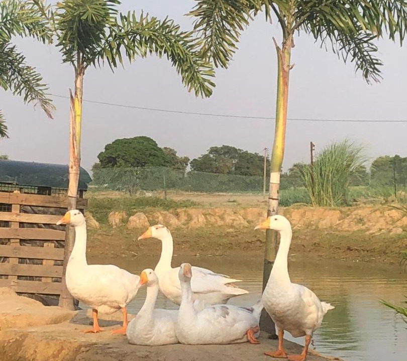 Photo of Others in Jalandhar