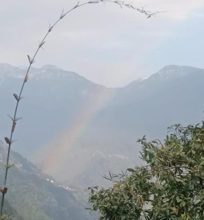 Photo of Others in Gangtok