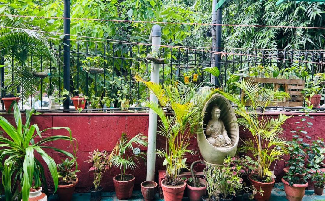 Photo of Others in Malviya Nagar