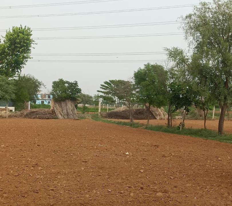 Photo of Others in Kotputli