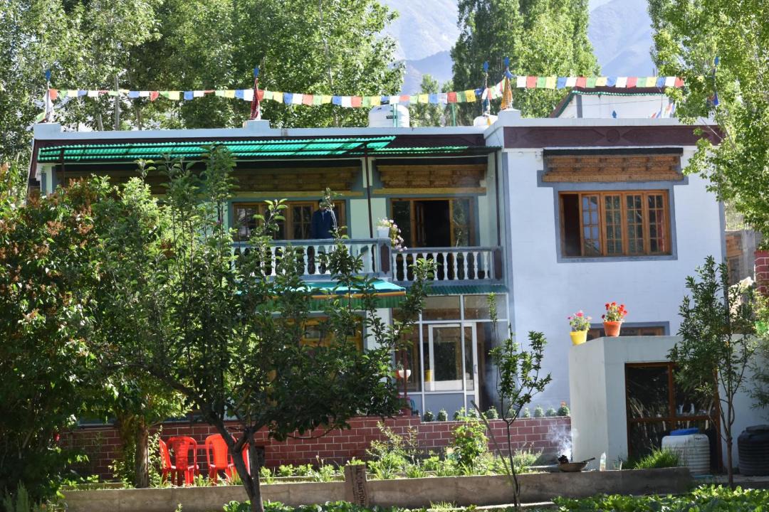Photo of Others in Leh