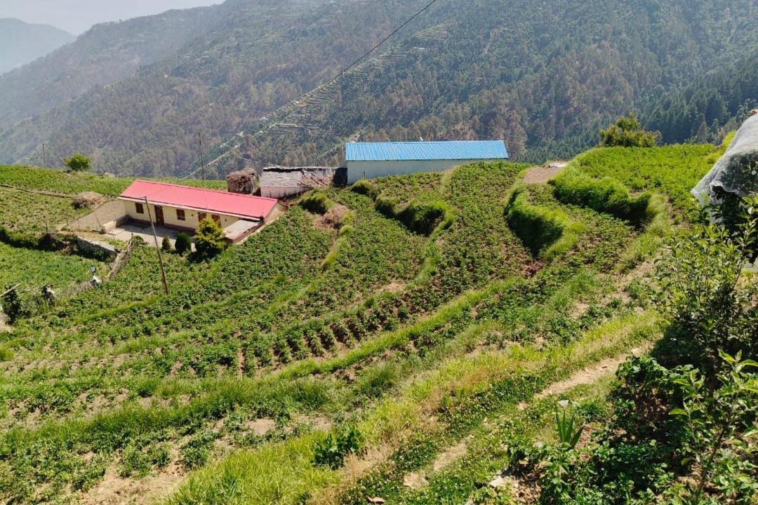 Photo of Others in Kanatal
