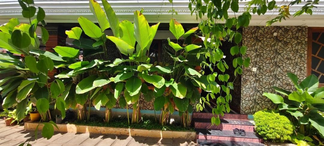 Photo of Others in Varkala