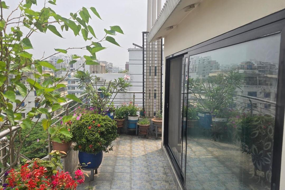 Photo of Patio Balcony in Basundhara Residential Area