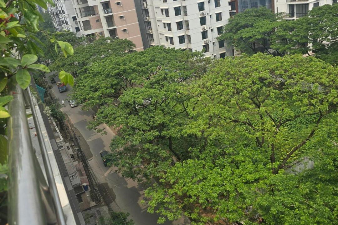 Photo of Others in Basundhara Residential Area
