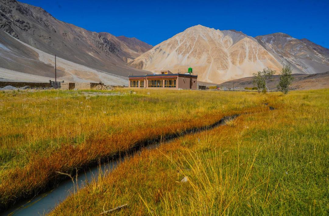 Photo of Others in Leh