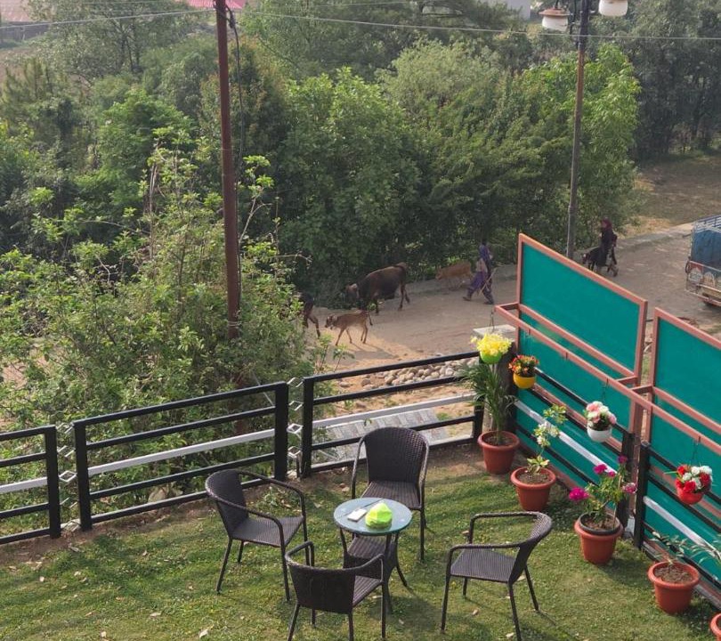 Photo of Others in Patnitop