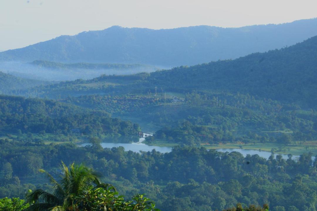 Photo of Others in Todupulai