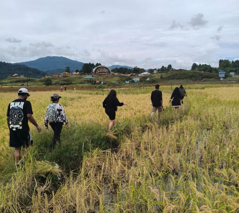 Photo of Others in Itanagar