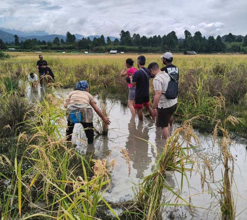 Photo of Others in Itanagar