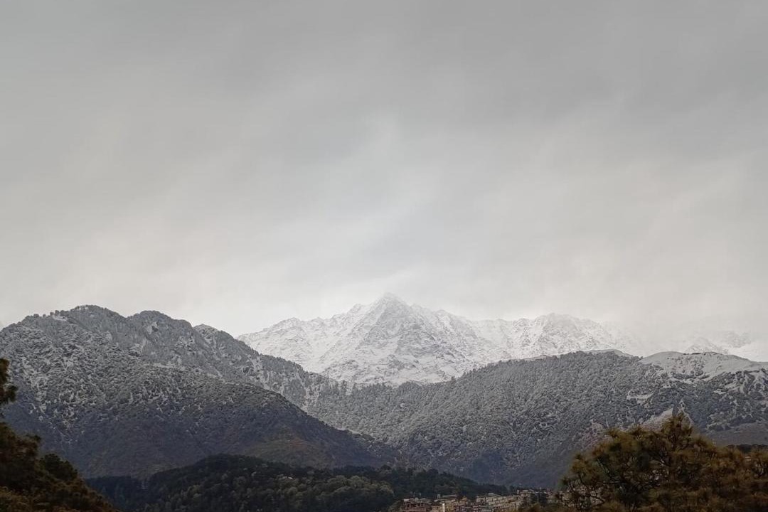 Photo of Others in Dharamshala