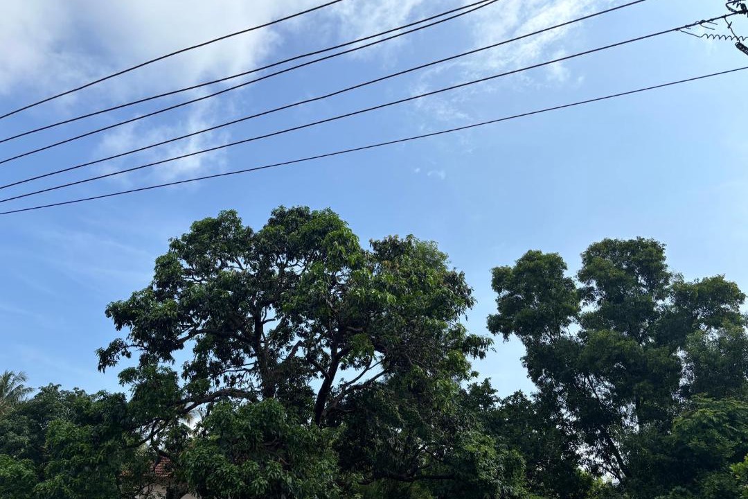 Photo of Outdoor in Honavar