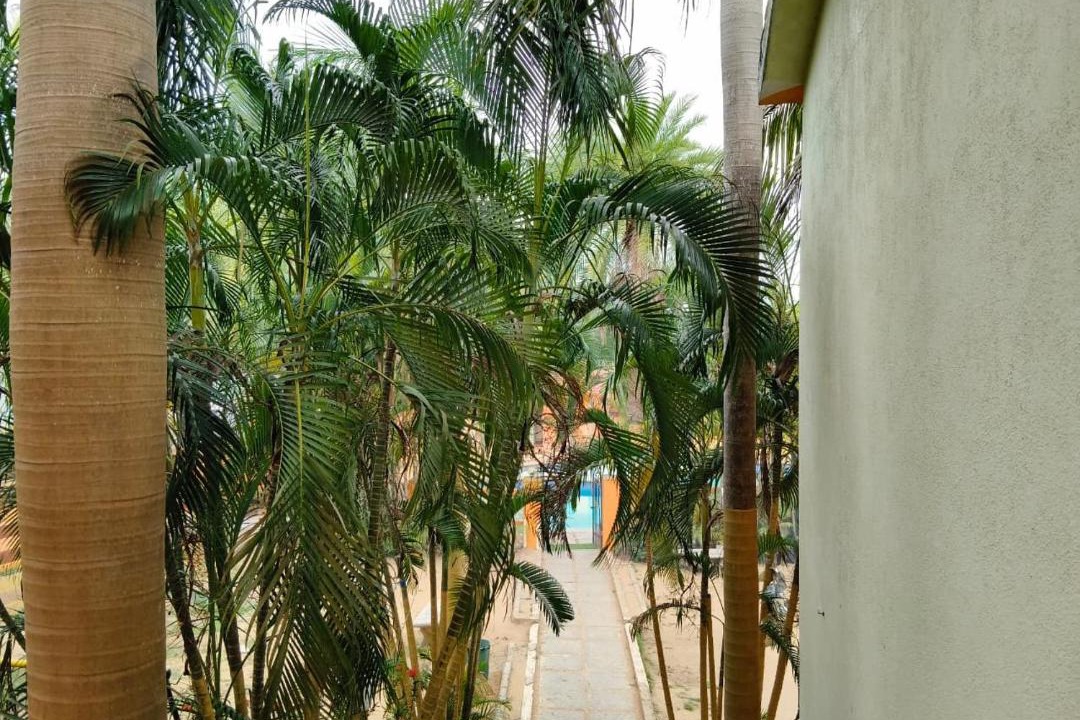 Photo of Others in Sulerikadu