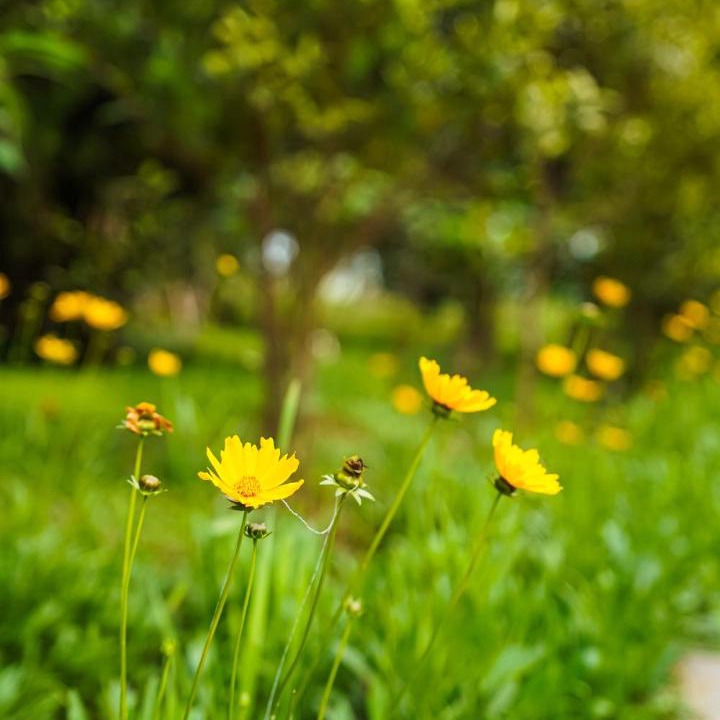 Photo of Outdoor in Ri-Bhoi
