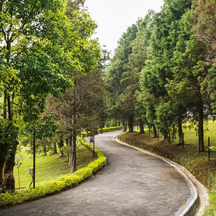 Photo of Outdoor in Ri-Bhoi