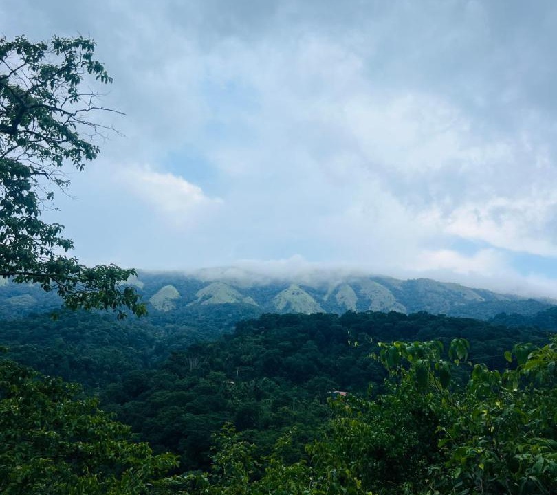 Photo of Others in Madikeri