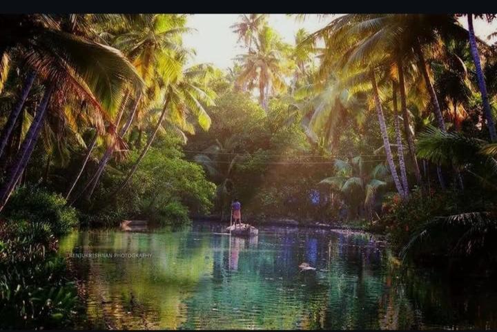 Photo of Others in Munroe Island