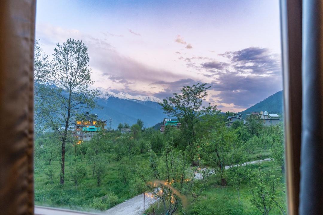 Photo of Others in Old Manali