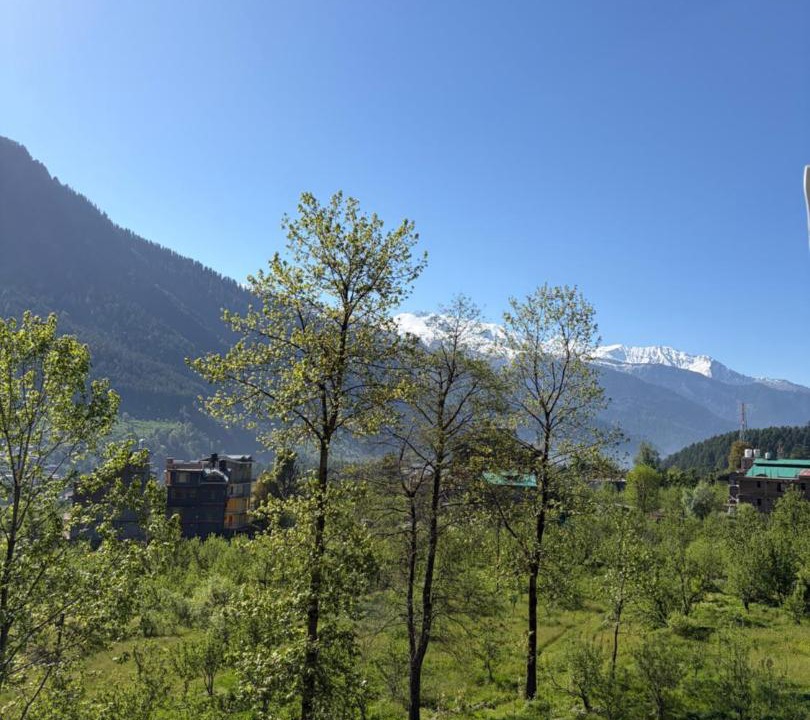 Photo of Others in Old Manali