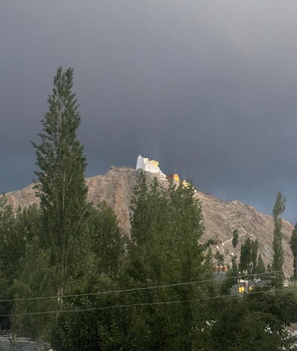 Photo of Others in Leh