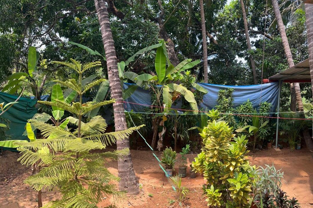 Photo of Others in Patnem