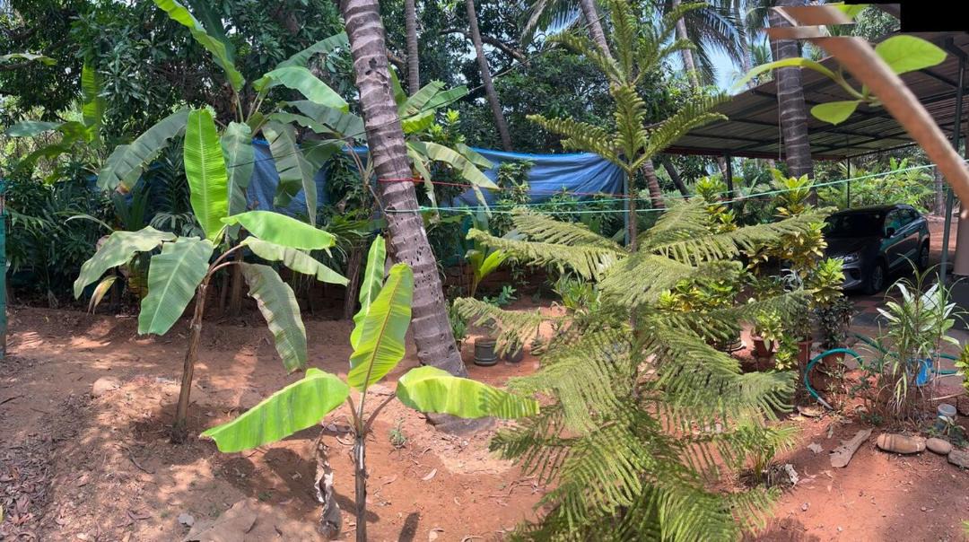 Photo of Others in Patnem