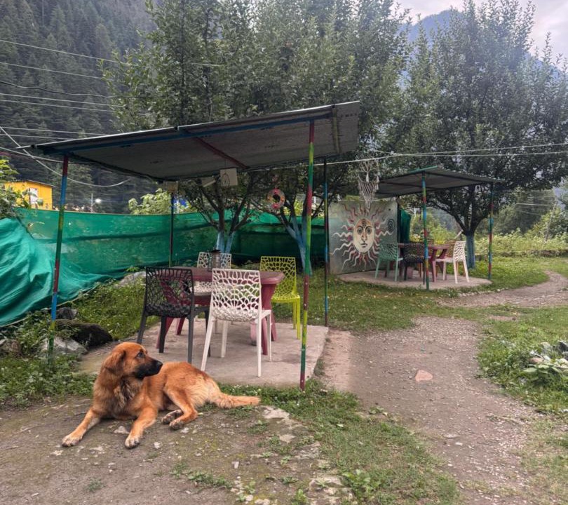 Photo of Others in Manikaran