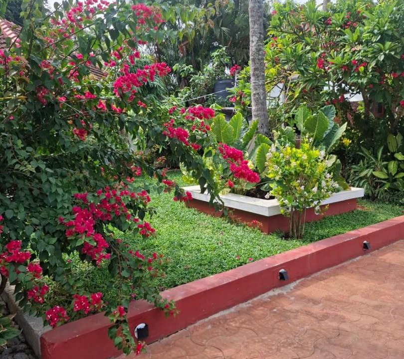 Photo of Others in Varkala