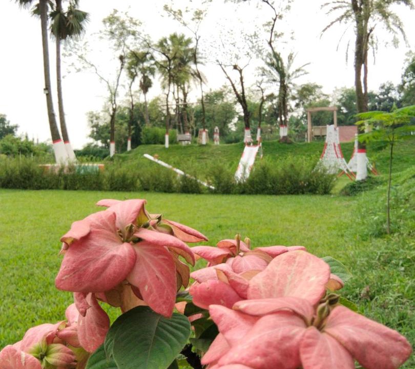 Photo of Others in Gazipur District