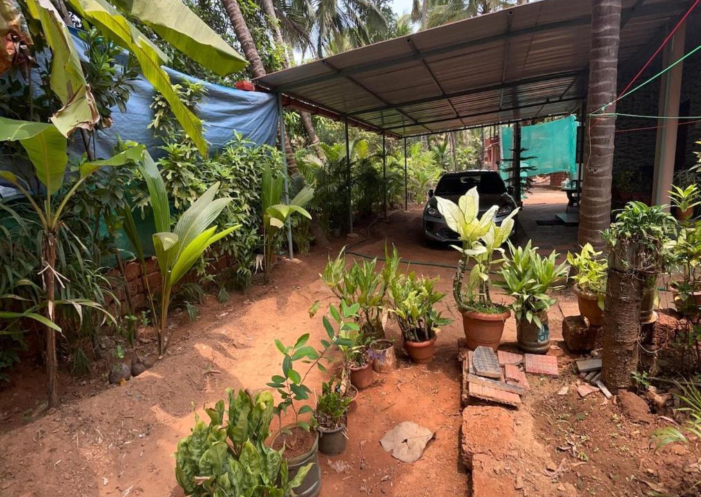 Photo of Others in Patnem