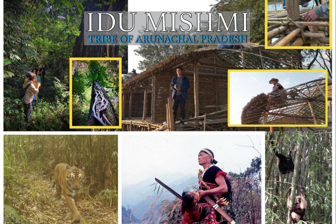 Photo of Human In Picture in Amini