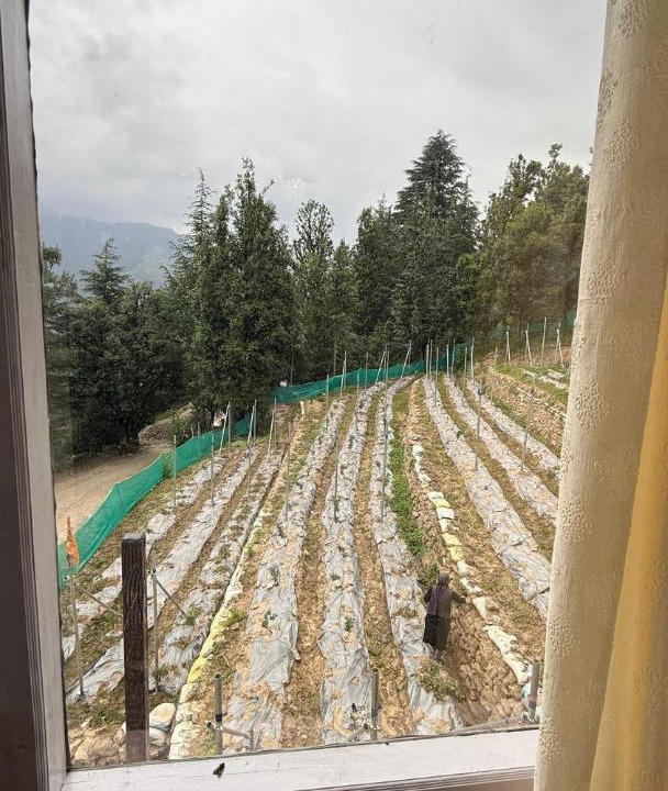 Photo of Others in Rohru