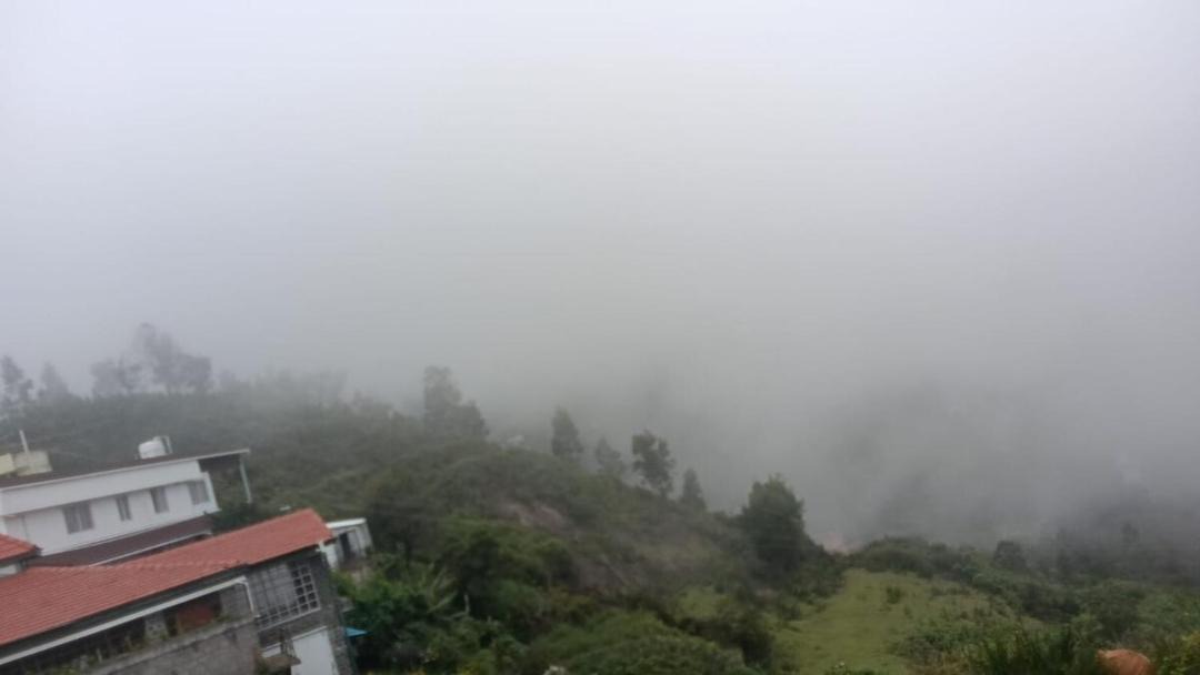 Photo of Others in Kodaikanal