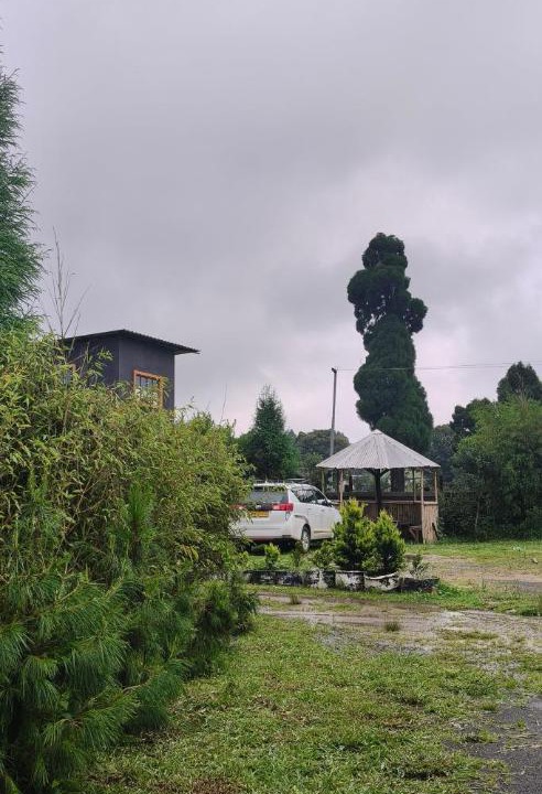 Photo of Others in Shillong