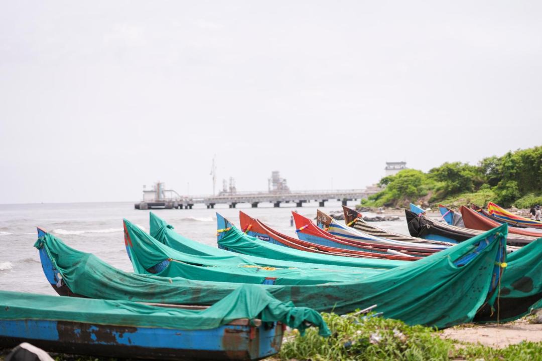 Photo of Others in Kochi