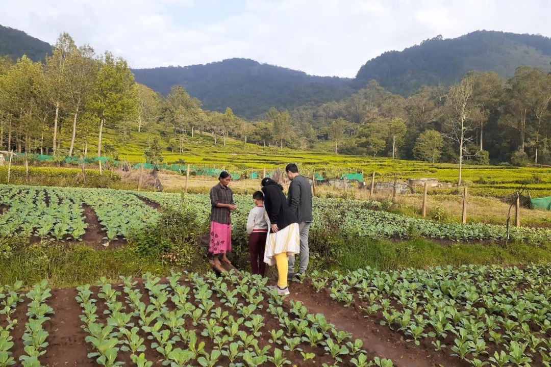 Photo of Others in Kotagiri