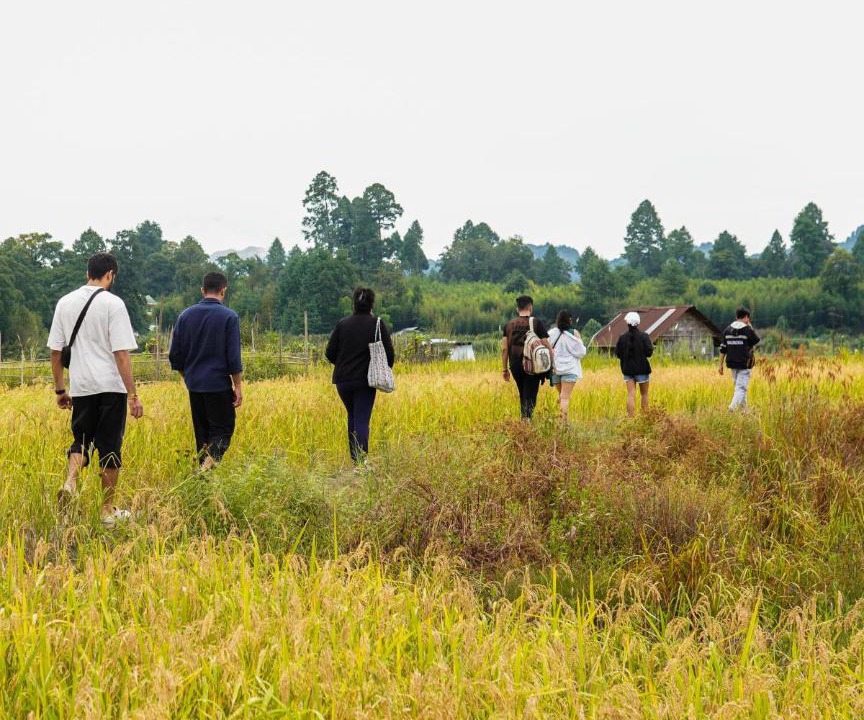 Photo of Others in Itanagar