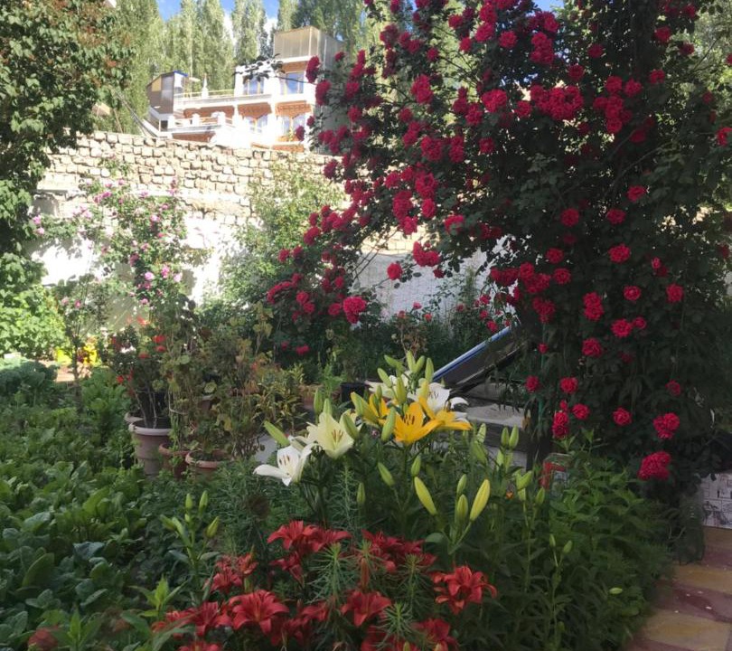Photo of Others in Leh