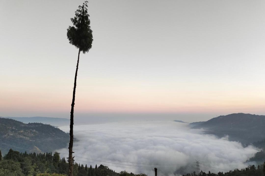 Photo of Others in Darjeeling