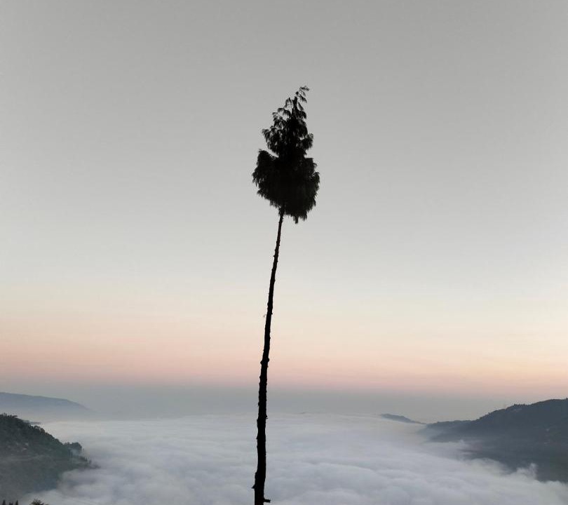 Photo of Others in Darjeeling
