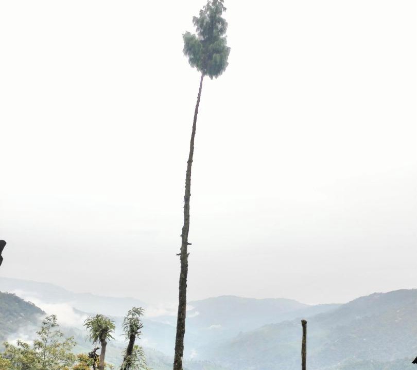Photo of Others in Darjeeling