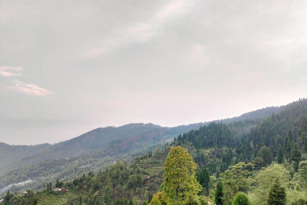 Photo of Others in Darjeeling
