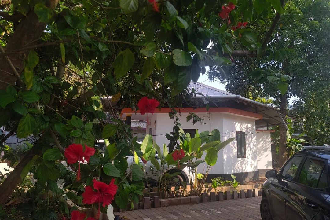 Photo of Others in Varkala
