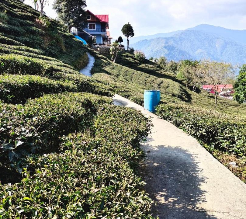 Photo of Others in Kurseong